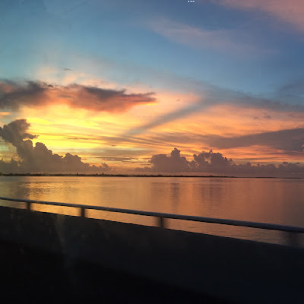 Meet your Posher, Avery belle